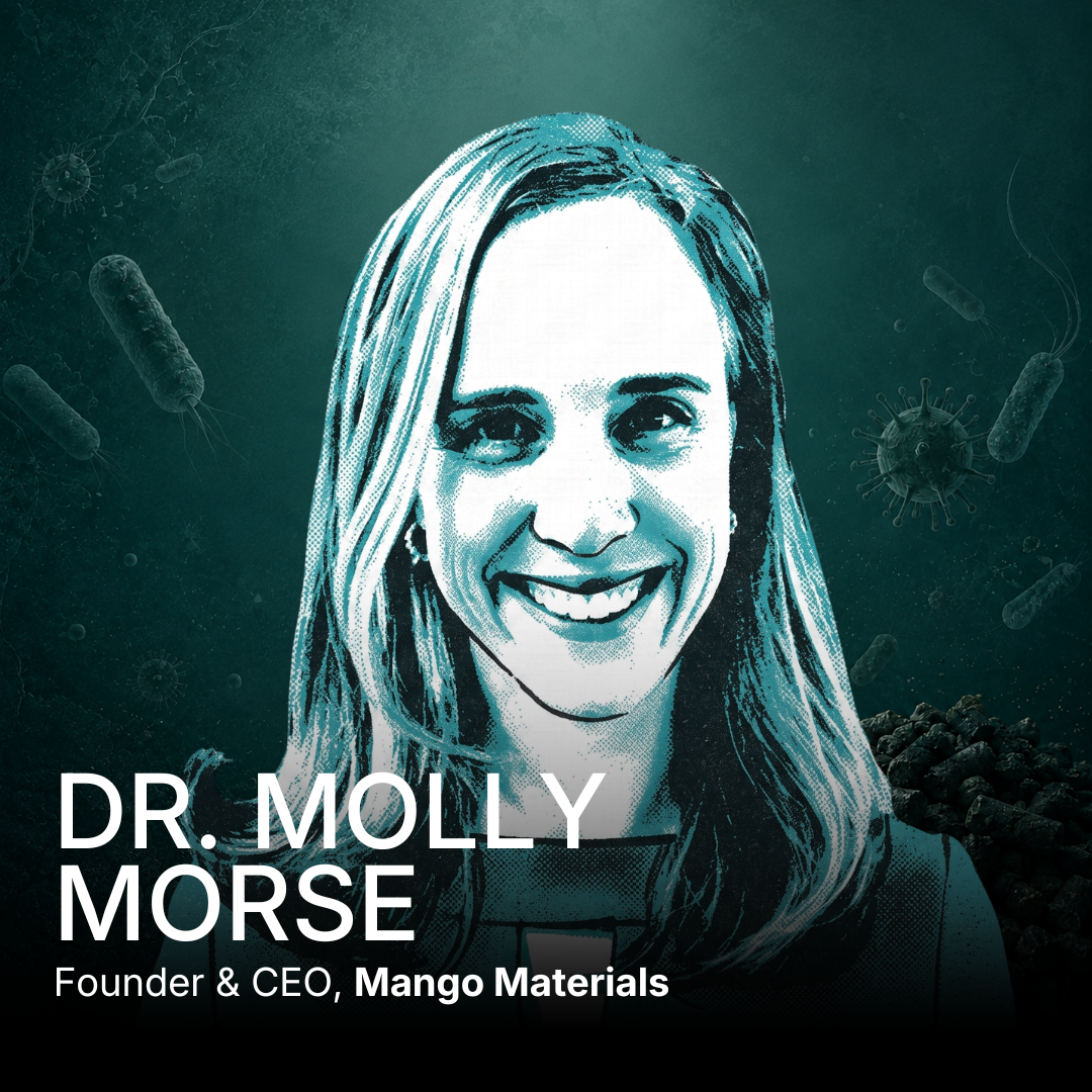 Molly Morse