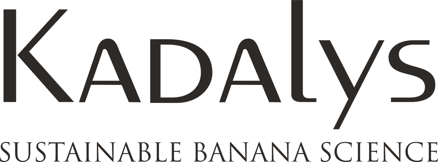 Logo for Kadalys