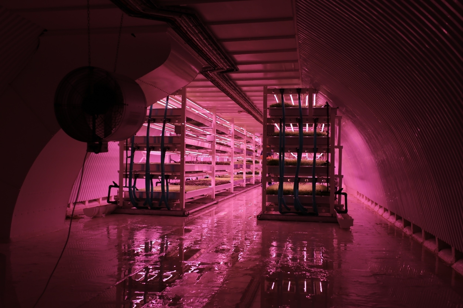 Growing Underground an Unreasonable company